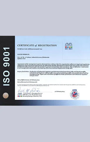 ISO 9001 Awards Recognition