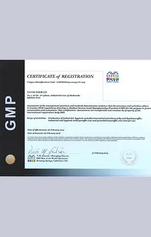 ISO GMP Awards Recognition