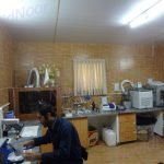 Health Benefits of Using Petroleum Jelly as a Moisturizer