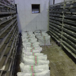 paraffin2 e1713271678199 paraffin2