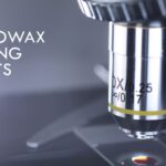 Melting point ranges of different microwaxes