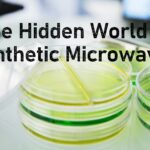 Synthetic microwax varieties