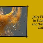 jelly flooding in submarine